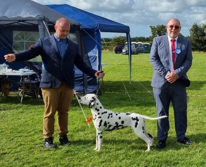 Stephen Fellows at a dalmation show