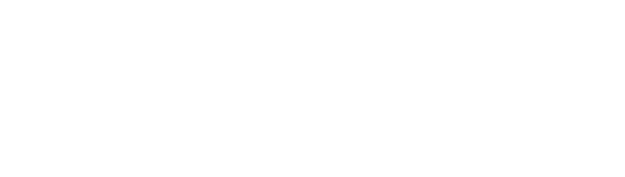 Stephen Fellows Chiropractic Logo