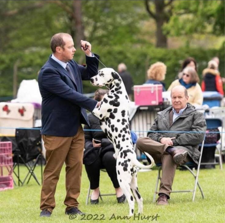 Stephen Fellows with a dalmation